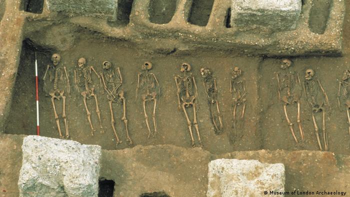 Esqueletos descubiertos en el cementerio de la Muerte Negra de East Smithfield, Londres. 