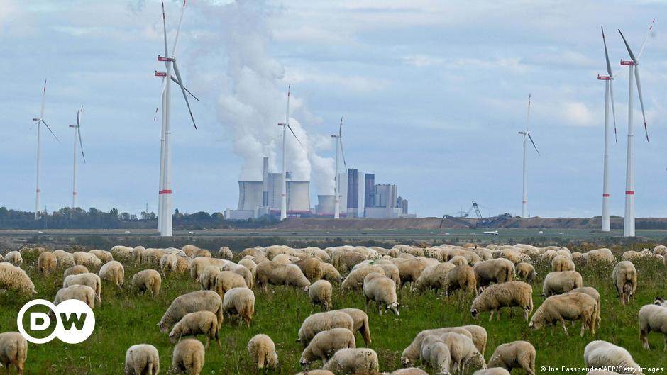 ألمانيا تنسحب من معاهدة الوقود الأحفوري – DW – 11/11/2022