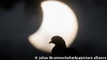 25.10.2022**
Eine Taube sitzt auf einem Dach in der Region Hannover während am Himmel hinter ihr eine partielle Sonnenfinsternis zu sehen ist. +++ dpa-Bildfunk +++
