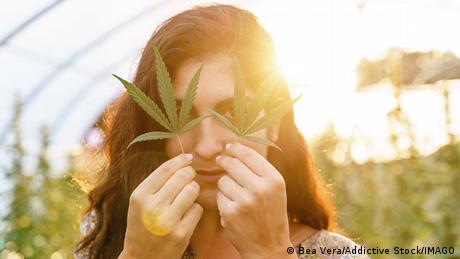Cannabis erhöht das Risiko von Psychosen bei Jugendlichen