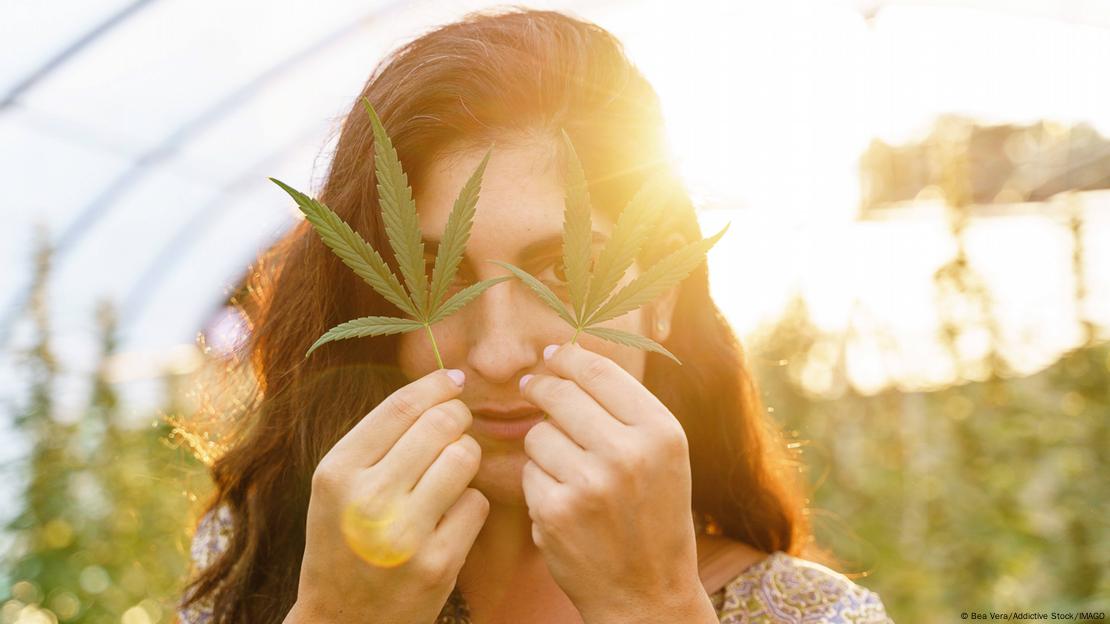 Mulher segurando folhas de maconha