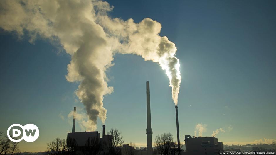 CO2 speichern mit Bioenergie-Kraftwerken: Bluff oder Klimarettung?