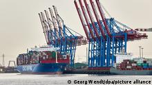 ARCHIV - 22.02.2021, Hamburg: Ein Containerschiff liegt am Containerterminal Tollerort. (zu dpa: «Tschentscher würde Beteiligung von Cosco an HHLA-Terminal begrüßen») Foto: Georg Wendt/dpa +++ dpa-Bildfunk +++