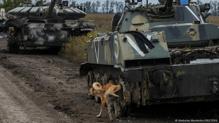 Ukraine Krieg Hunde
