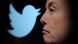 Elon Musk mit Twitter-Logo Elon Musk mit Twitter-Logo