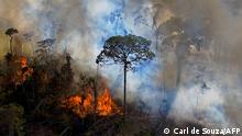 (FILES) In this file photo taken on August 15, 2020, smoke rises from an illegally lit fire in Amazon rainforest reserve, south of Novo Progresso in Para state, Brazil. - In western capitals, the plight of the world's largest rainforest is seen as a key issue in Brazil's election, with much at stake for a world scrambling to curb the climate emergency. However fires and deforestation have taken a back seat in a dirty and divisive election campaign, and many Brazilians have bigger concerns beyond those happening in a vast area thousands of miles away. Many Brazilians list the economy, crime, education, and corruption as their top worries. (Photo by CARL DE SOUZA / AFP)