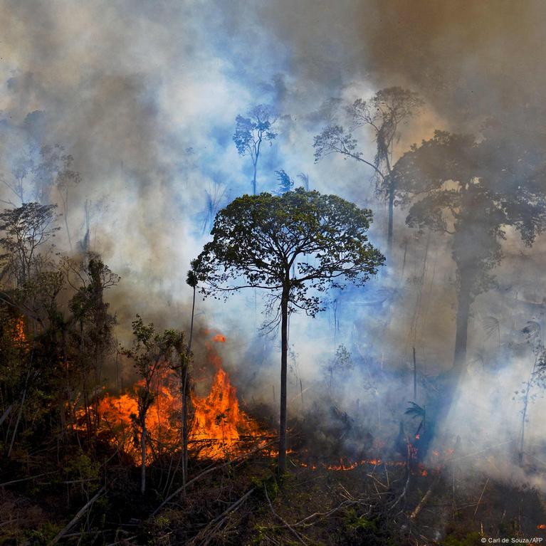 Brazil vote could decide fate of the  rainforest — and Earth