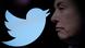 The Twitter logo beside Elon Musk in profile The Twitter logo beside Elon Musk in profile