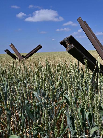 Почему запретили ввоз зерна из Украины: основные причины и последствия