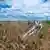 Symbolbild: Getreidefelder in der Ukraine