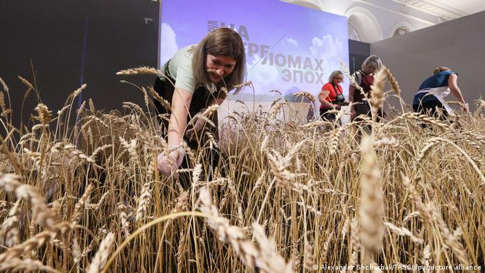 Ukraina synon të sigurojë eksportet e drithit 