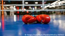 Pair of red leather boxing gloves on ring, nobody