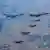 Fighter jets fly in a V formation 