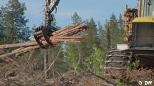 Borba za spas švedskih šuma
