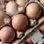 Frische Eier in Eierschachtel