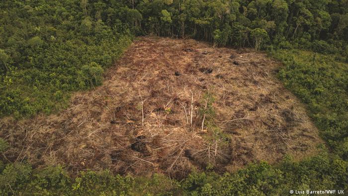 Área deforestada en la Amazonía colombiana.