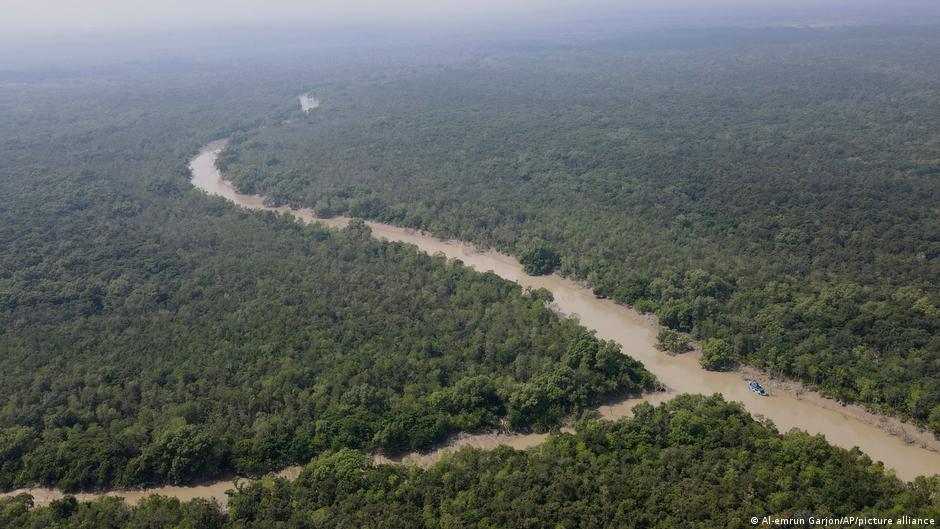Najveće podruöje mangrova nalazi se u Bangladešu