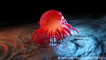 Three dimensional render of cancer cells in human body SPCF01569