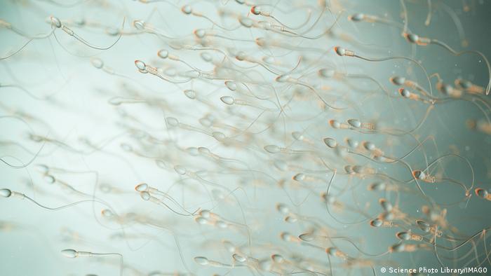 El recuento de espermatozoides no es sólo un indicador de la fertilidad humana; también es un indicador de la salud de los hombres.