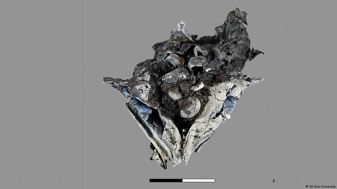 A clump of 780,000-year-old fish teeth