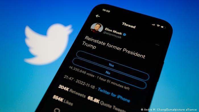 Elon Musk Twitter Umfrage Trump Account