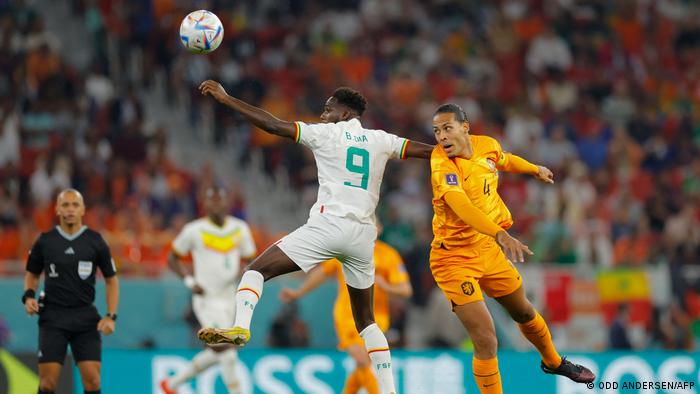 Fußball-WM Katar 2022 | Senegal v Niederlande
