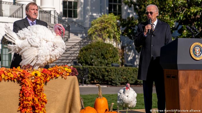 Chip y Cholate fueron los dos pavos perdonados por el mandatario estadounidense Joe Biden, como parte de la tradición del Día de Acción de Gracias.