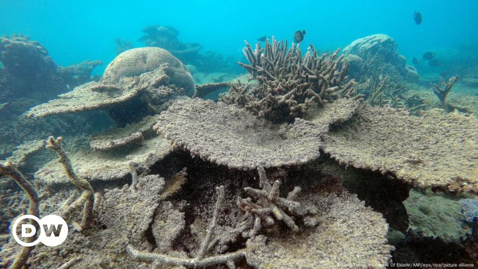 Australia Opposes UNESCO Endangered Status For Barrier Reef – DW – 11 ...