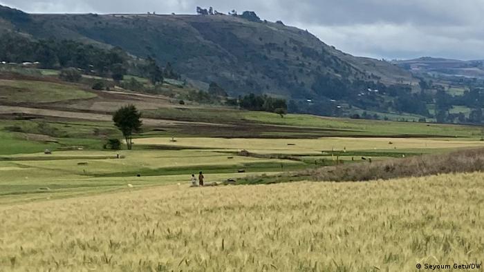 Felder in Äthiopien