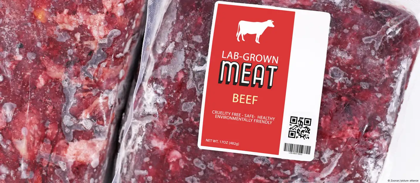 Meat grown from animal cells? Here's what it is and how it's made