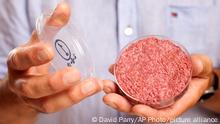 HANDOUT - Ein Handout vom 04.08.2013 zeigt Professor Mark Post von der Universität Maastricht, der künstliches Fleisch aus dem Labor in Einer Petrischale bei einer Produktpräsentation in London, (England), zeigt. Das künstliche Fleisch - auch In-Vitro-Fleisch genannt - entsteht, indem tierische Muskelzellen im Labor wachsen. Daran wird vor allem in den USA und in den Niederlanden geforscht. 2013 gab es in London eine Art Testessen mit einer aus Stammzellen erzeugten Frikadelle. Zu kaufen gibt es Laborfleisch noch nicht. (zu dpa Schnitzel aus der Petrischale? Forscher sehen durchaus Akzeptan am 15.09.2017) Foto: David Parry / Pa Wire Handout/PRESS ASSOCIATION IMAGES/dpa +++ dpa-Bildfunk +++