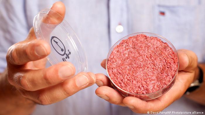 Ein Forscher präsentiert Laborfleisch in einer Petrischale