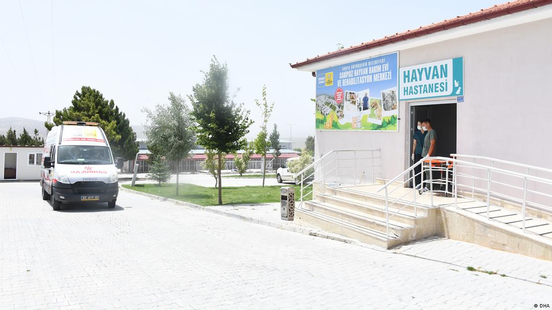 Konya'da Hayvan Hastanesi 