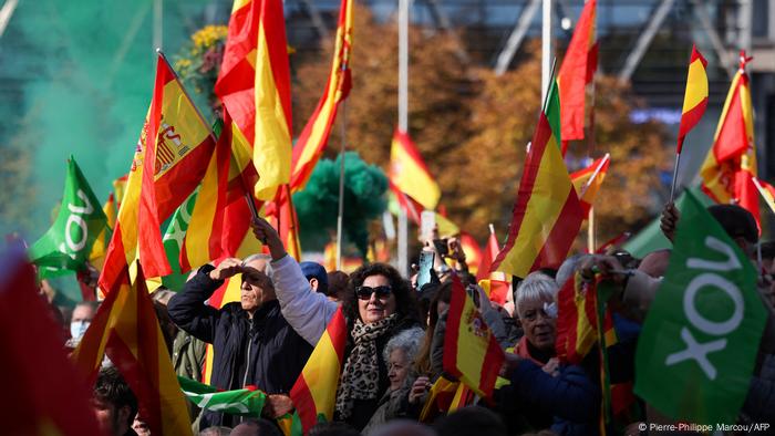 Banderas de españa y banderolas de Vox entre la multitud.