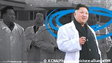 Darf nur als Thumnbail für das CMS Video benutzt werden.
Despite UN sanctions, a German research institute worked with North Korean scientists.