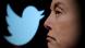 Elon Musk und Twitter-Logo Elon Musk und Twitter-Logo