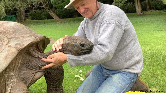 Posdata sangrado Definir Cumple cerca de 190 años la tortuga más vieja de la historia | Ciencia y  Ecología | DW | 02.12.2022