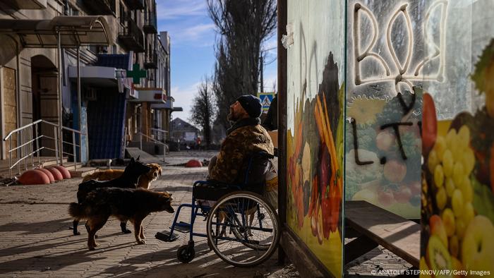 Tres perros se paran en la calle delante de un hombre en silla de ruedas.