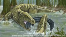 Un temible animal prehistórico es considerado como el T. rex de su época