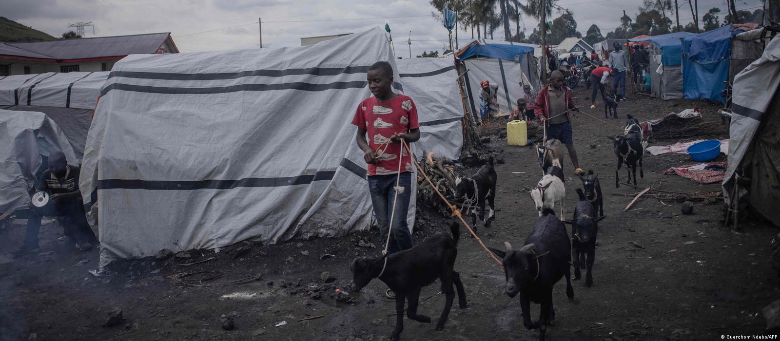 Carabine revolver Lefaucheux en 9 mm à 20 coups. – Lefaucheux père et fils, image size:1600x700
