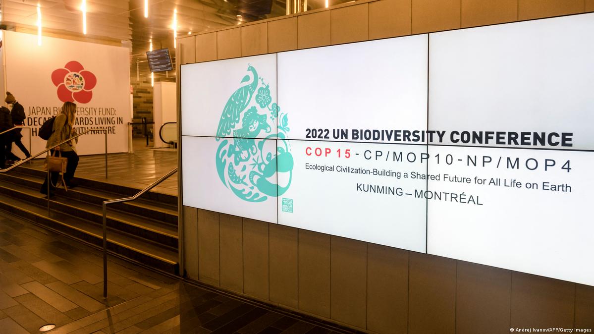 Cumbre de la ONU cerca de acuerdo para salvar biodiversidad