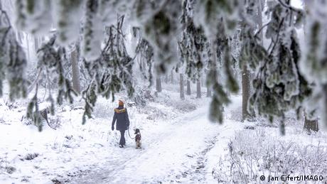 Paisaje invernal en la región montañosa del Taunus, Alemania.