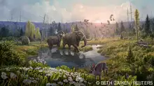 حمض نووي يكشف.. غرينلاند كانت مليئة بالغابات يوما ما