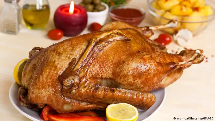 圣诞节人们喜欢的一道大菜：烤鹅，但，吃不完怎么办？