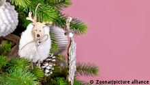 Christmas tree branch with natural sheep ornament made from wood and wool in front of pink background with copy space