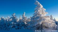 Magische Wintergeschichten 