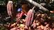 A farmer sitting on the ground sorting cocoa beans next to a heap of cocoa pods A farmer sitting on the ground sorting cocoa beans next to a heap of cocoa pods