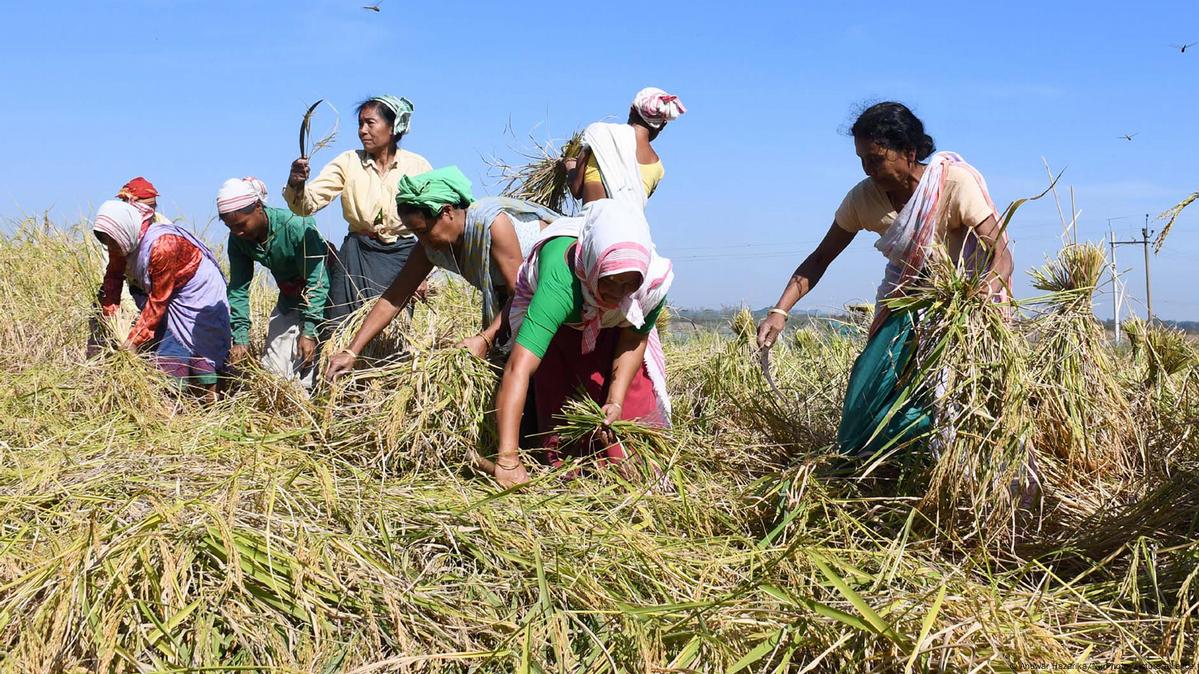 India can lead the way in improving the health of tribals