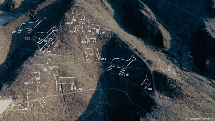 La Universidad de Yamagata se ha dedicado a la investigación de los geoglifos de Nazca.