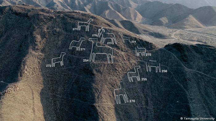 77 geoglifos se concentraron en un parque arqueológico establecido en 2017 cerca del centro de la ciudad de Nazca.